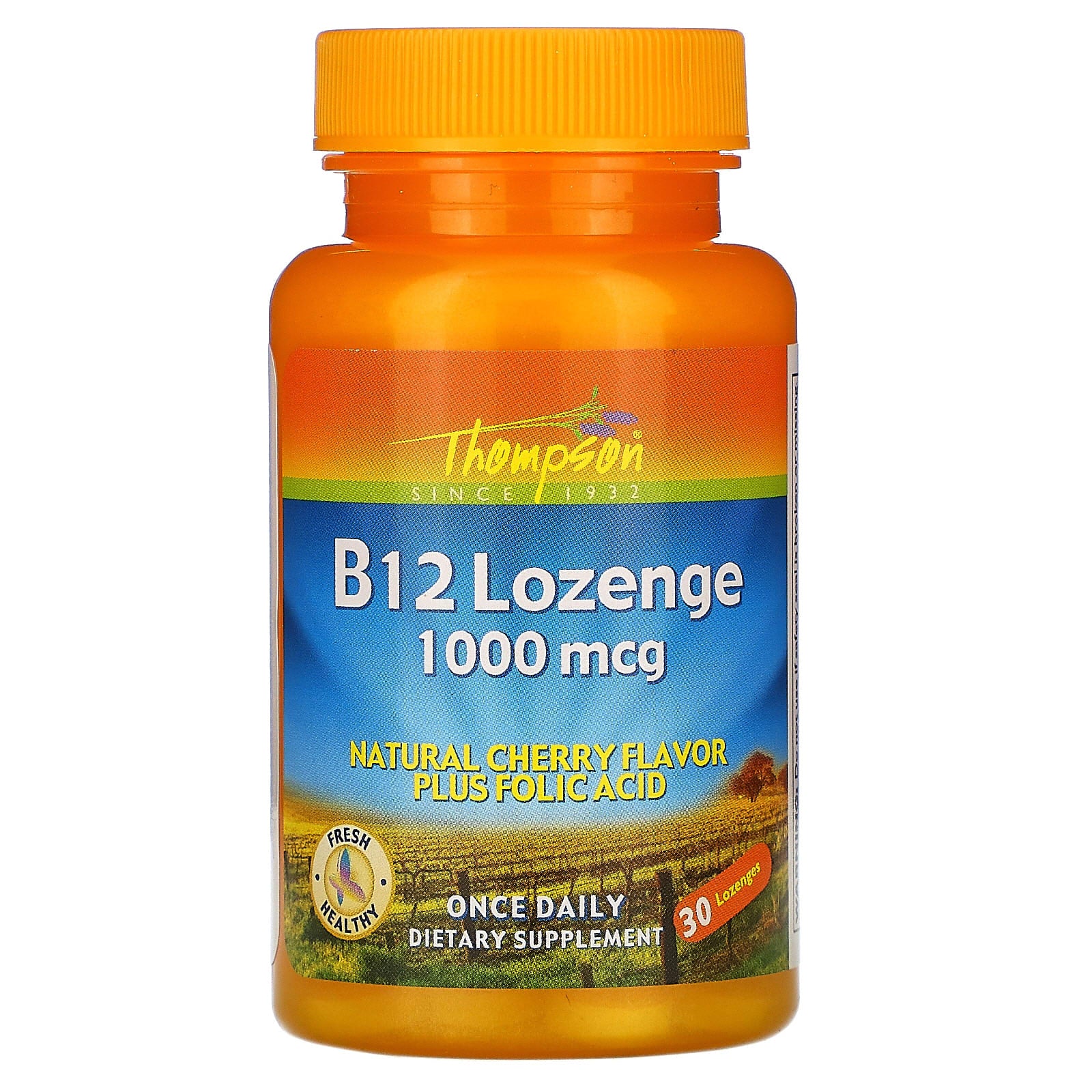 Thompson, Vitamin B-12 1000 Mcg, 30 Lozenges UPC 031315191428 | HiLife Vitamins